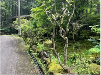 surroundings