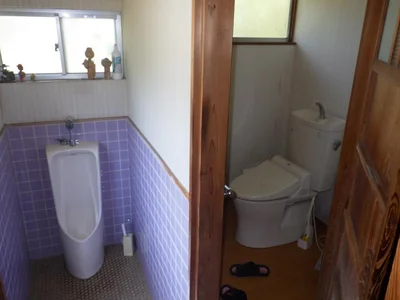 toilet toilet