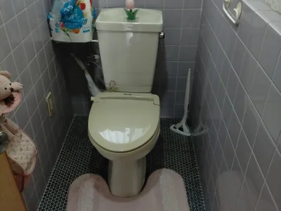 toilet toilet