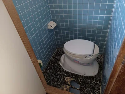 toilet