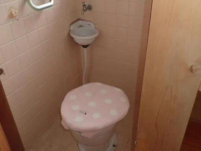 toilet toilet