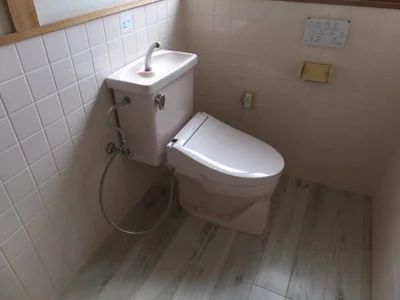 toilet