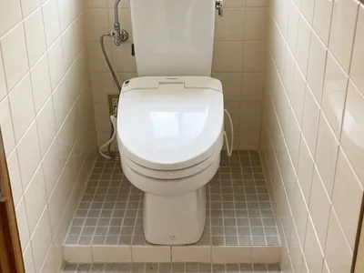 toilet toilet