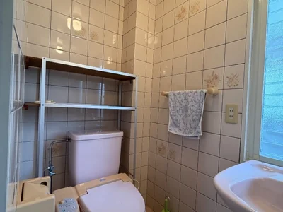 toilet