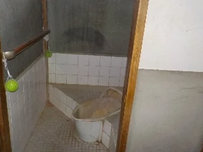 toilet