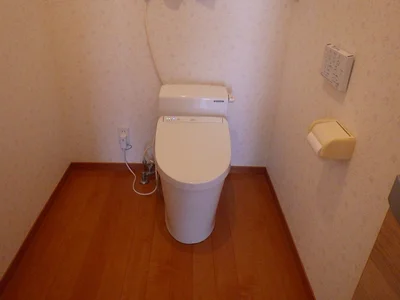 toilet