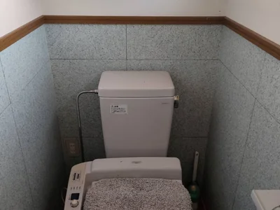 toilet