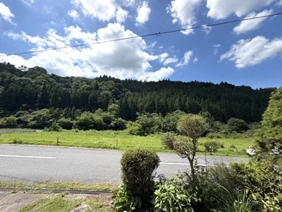 view