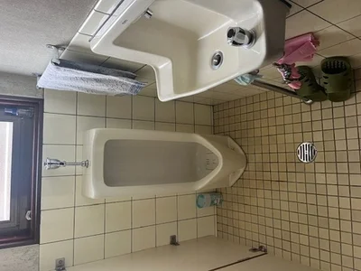 toilet
