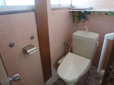 toilet
