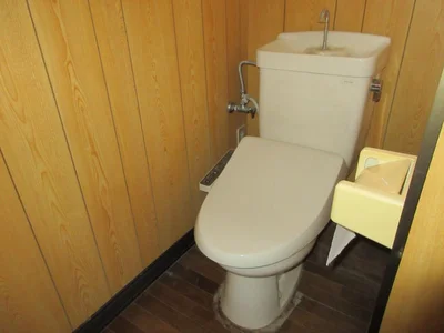 toilet toilet
