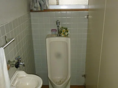 toilet