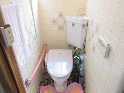 toilet