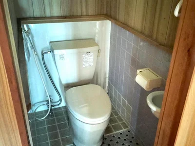 toilet toilet