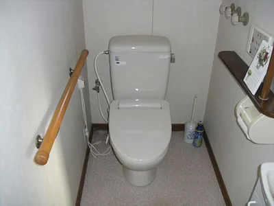 toilet toilet