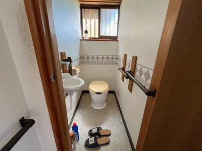 toilet