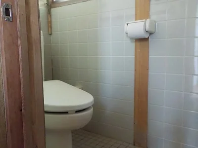 toilet
