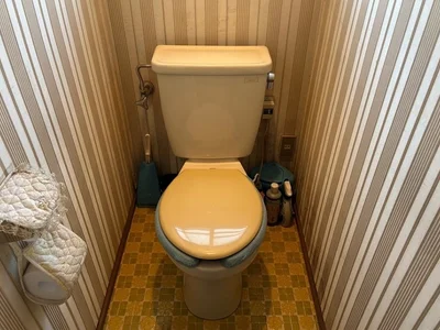 toilet