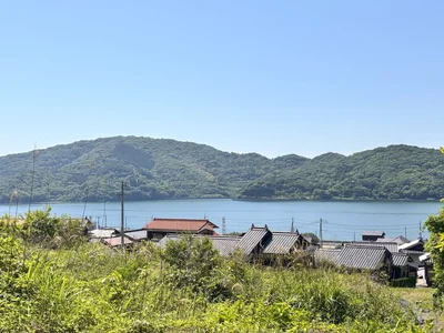 surroundings