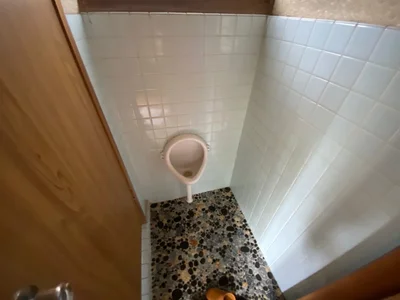toilet toilet