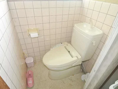 toilet toilet