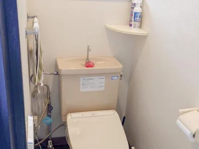 toilet toilet