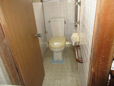 toilet