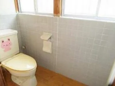 toilet