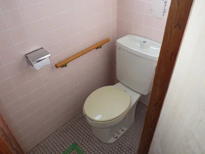 toilet