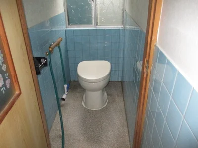 toilet