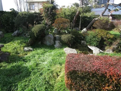 garden