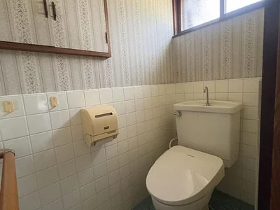 toilet