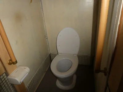 toilet toilet