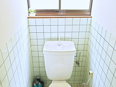toilet toilet