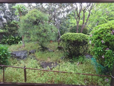 garden