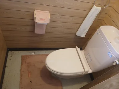 toilet