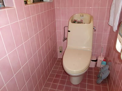 toilet toilet