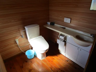 toilet