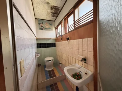 toilet