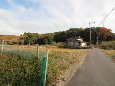 exterior (including front road)
