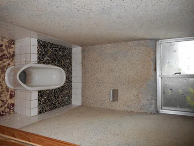 toilet