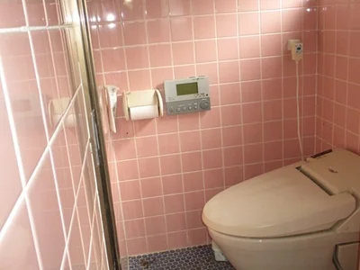 toilet toilet