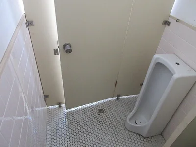 toilet