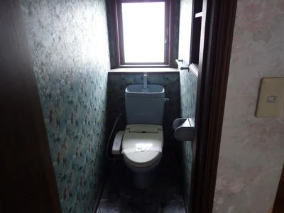toilet