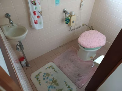 toilet