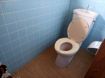 toilet