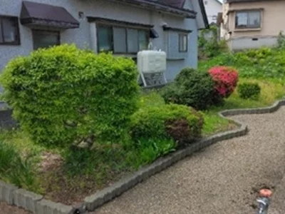 garden garden