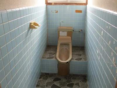 toilet