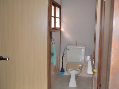 toilet