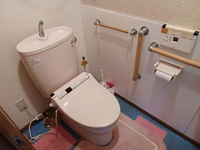 toilet